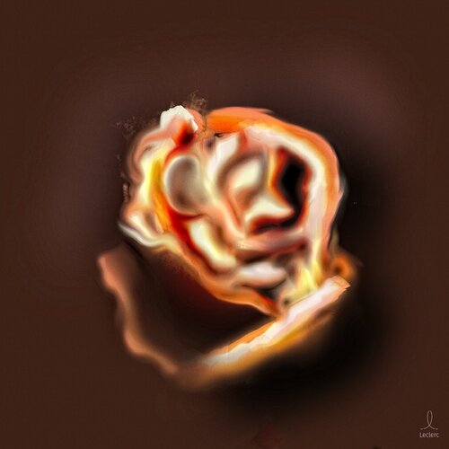 Digital Fragments 373 di Denis Leclerc, Stampa in vendita su Singulart