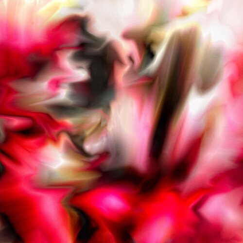 Bloom Surge di Denis Leclerc, Stampa in vendita su Singulart