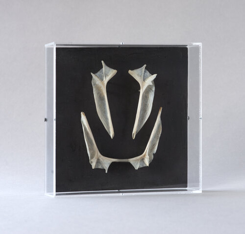 Three Forms of Attention III  - Quiet Gesture (Balance) von Pia Post, Skulptur kaufen auf Singulart