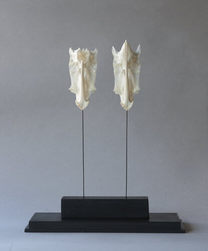 Royal Alignment de Pia Post, Escultura a la venta en Singulart