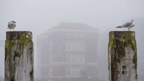 Silence in the City #5 Lieselot IJsendoorn