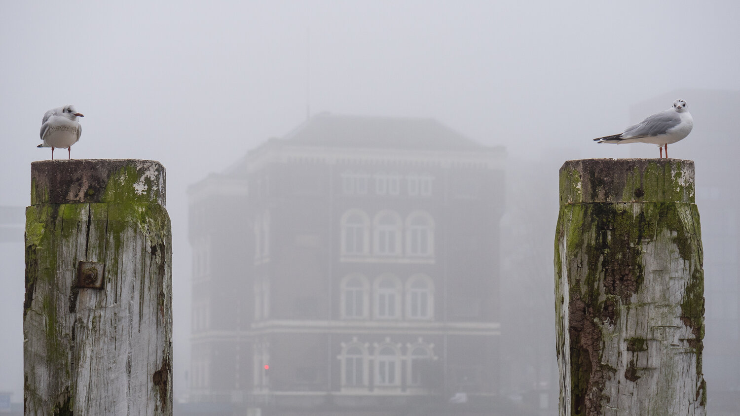 Silence in the City #5 Lieselot IJsendoorn Fotografie zu verkaufen