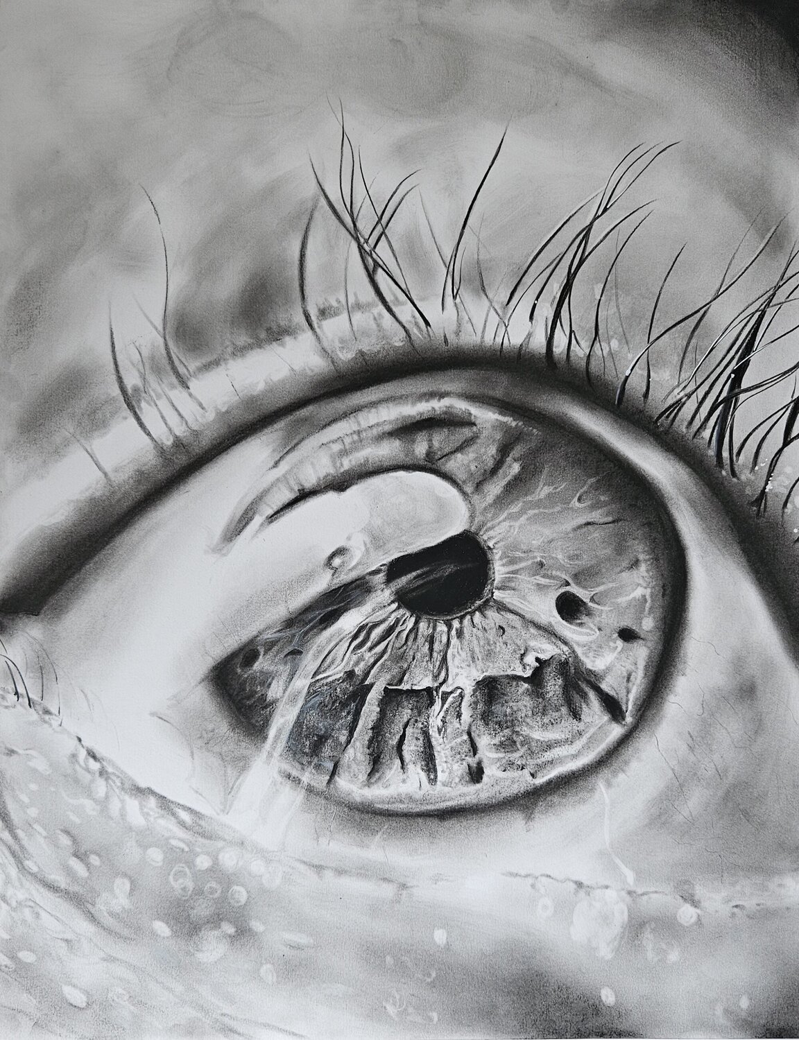 Oeil Alexis TROUDE