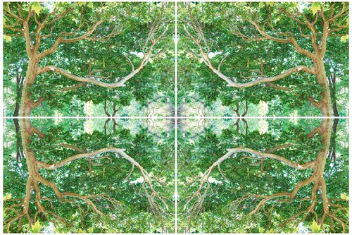 Composition IV Le Temps Suspendu di Laurie Victor Kay, Fotografia in vendita su Singulart