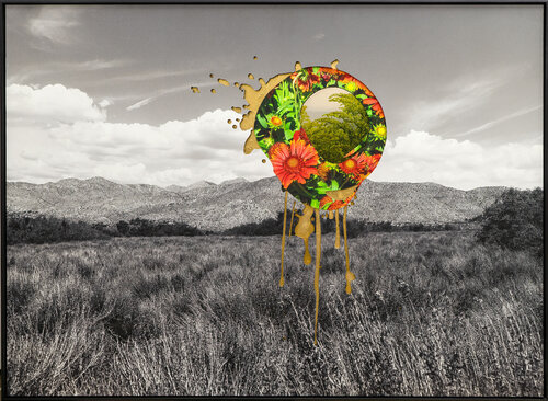 Refugium by Rob Grad, 사진 for Sale on Singulart