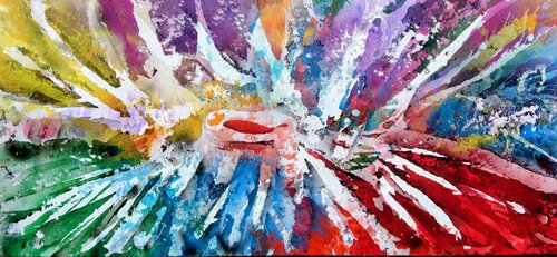 California Orange Joan Llaverias