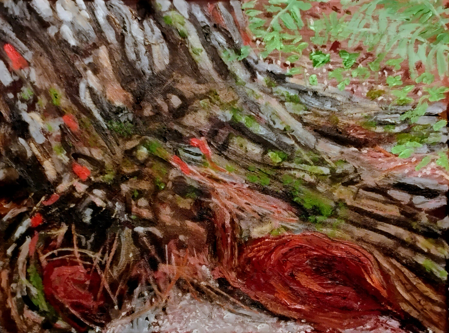 Red Burl Johann Groebner