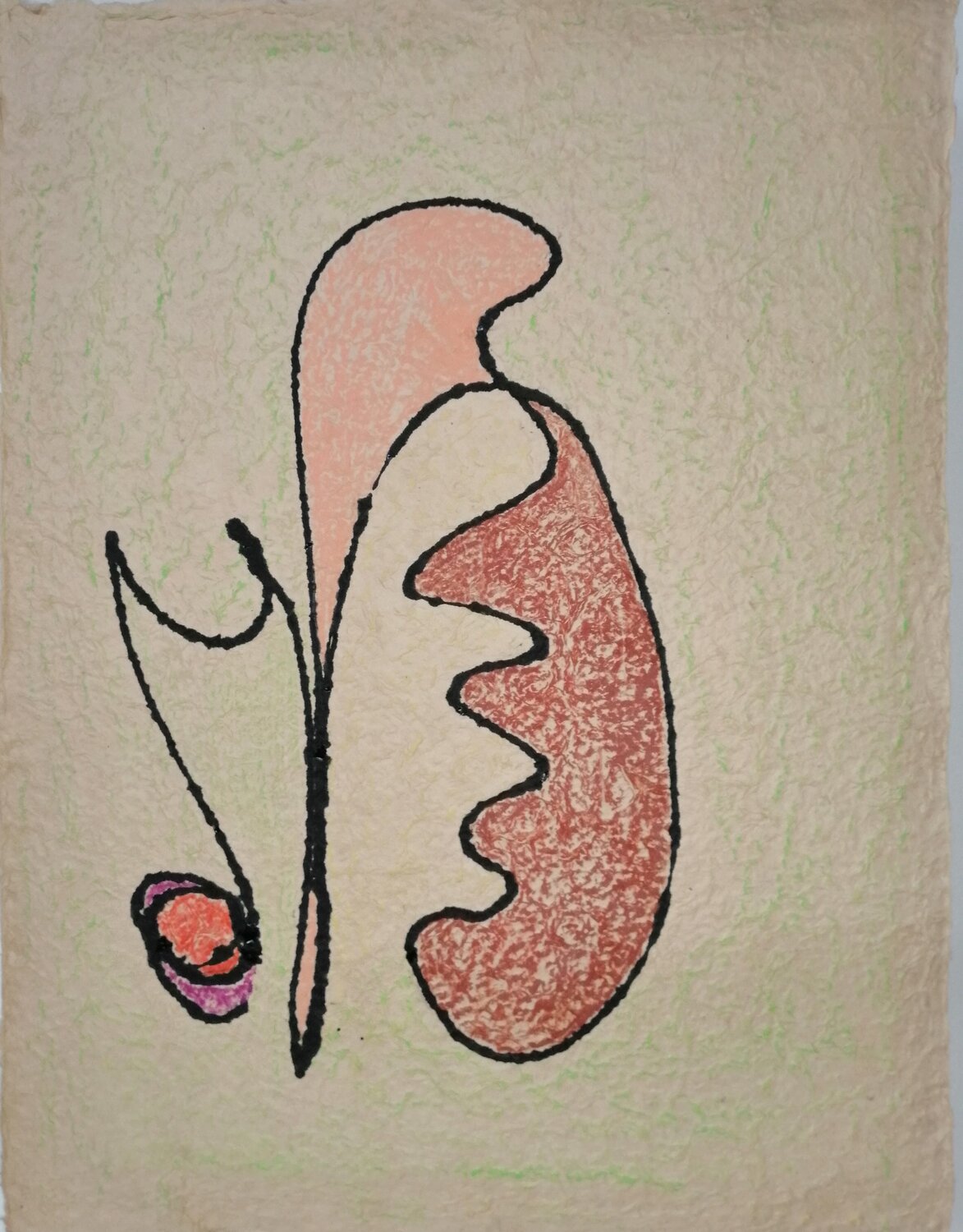 SCOIATTOLO 1 Denise Mastel