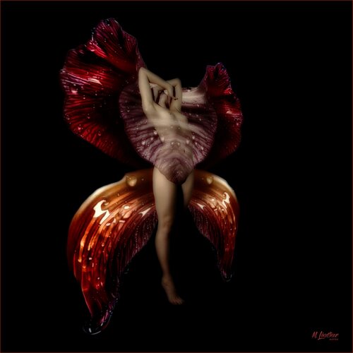 Phönix II van Mike Lindtner, Fotografie te koop op Singulart