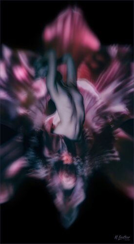 Pele van Mike Lindtner, Fotografie te koop op Singulart