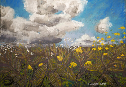 " Mon jardin sauvage" ( My wild garden) de Marylene Faucher, Obra en papel a la venta en Singulart