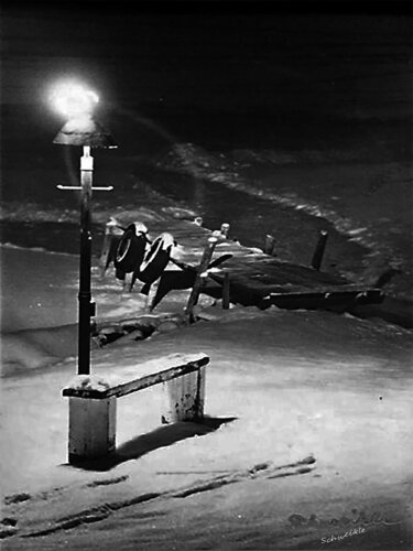 Lake Zurich Illinois von Tony Schweikle, Fotografie kaufen auf Singulart