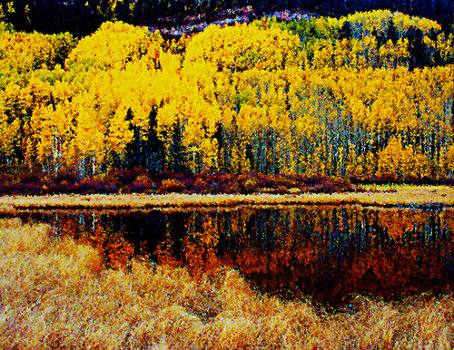 Golden Aspens reflected in Pond. di Tony Schweikle, Digitale in vendita su Singulart