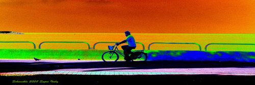 The Pigeon is winning the race. di Tony Schweikle, Digitale in vendita su Singulart