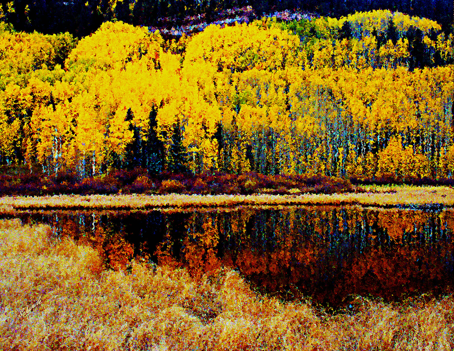 Golden Aspens reflected in Pond. Tony Schweikle