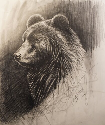 The Bearing di Lindsay Siemers, Disegno in vendita su Singulart