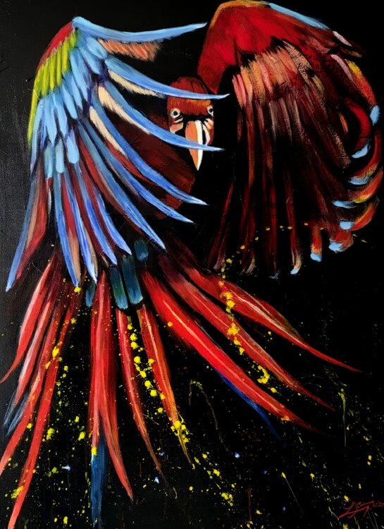Joyful Parrot - When Joy Meets Your Past Lindsay Siemers