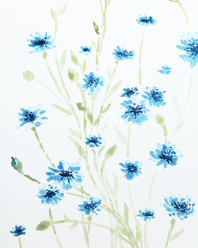 Korenbloemen par Caroline Thevelein, Peinture en vente sur Singulart