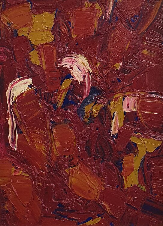cromatico rosso Domenico Asmone