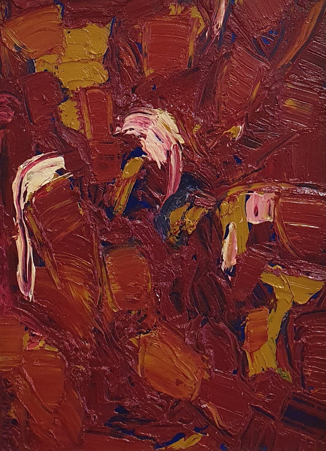 cromatico rosso Domenico Asmone