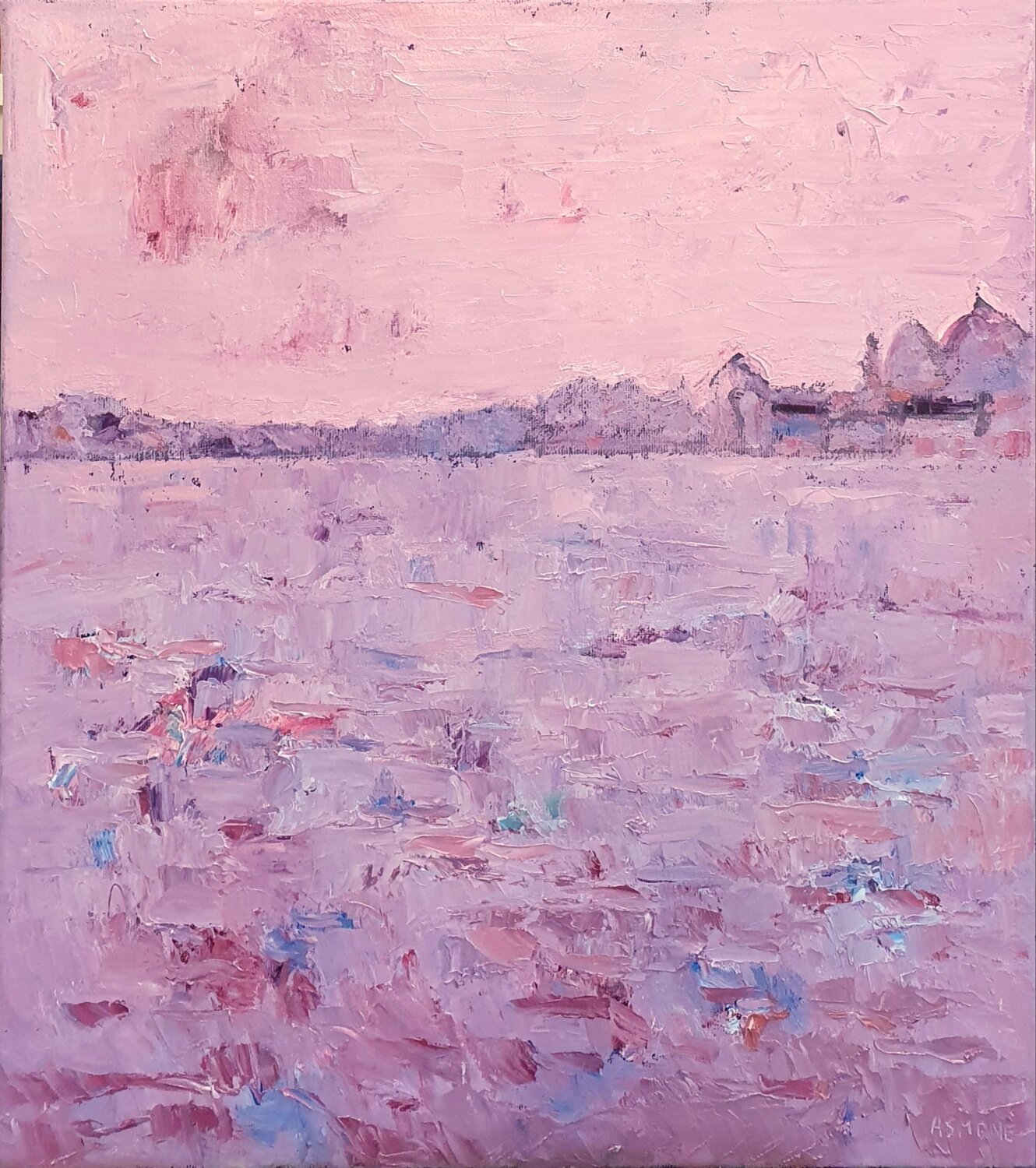 Venezia cromatica (Tramonto) Domenico Asmone