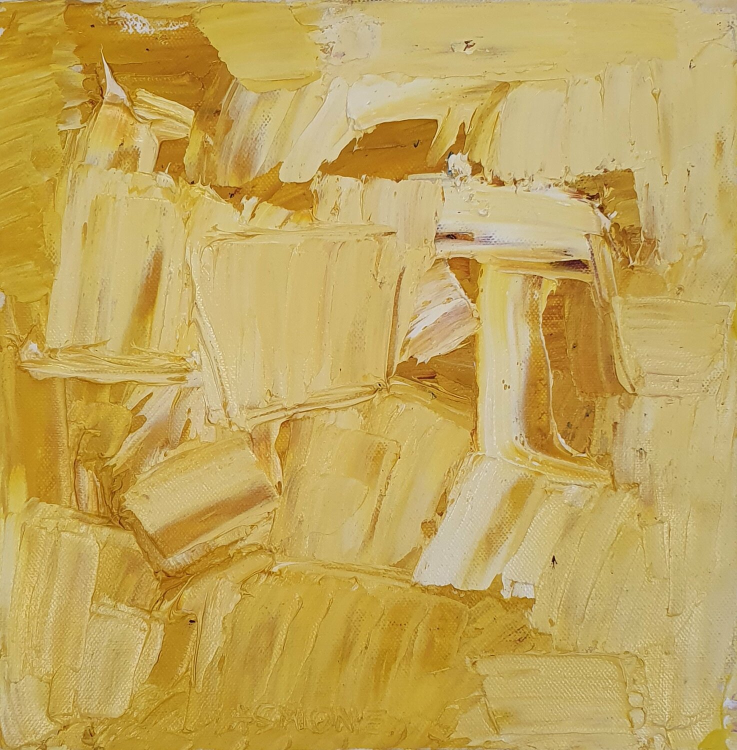 Cromatico giallo Domenico Asmone