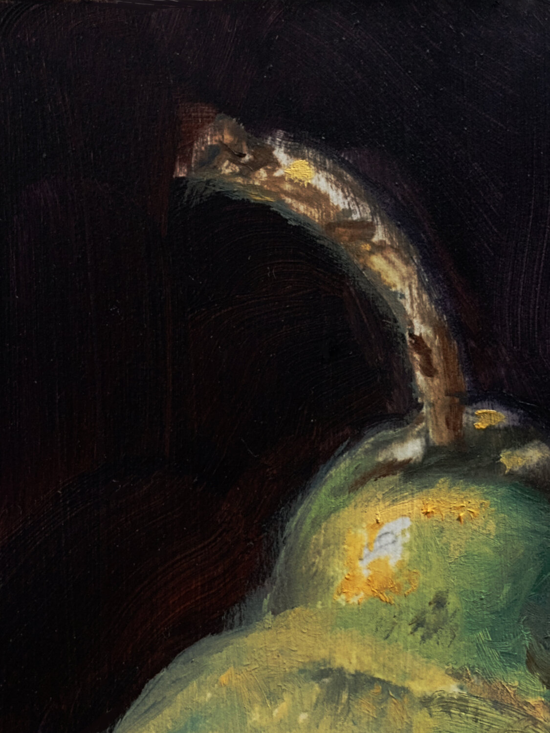 Highlights from 2016 of Coming to Their Rescue, image size:1125x1500