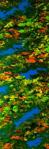 Colorful autumn 3 de Daniel Urbaník, Pintura a la venta en Singulart