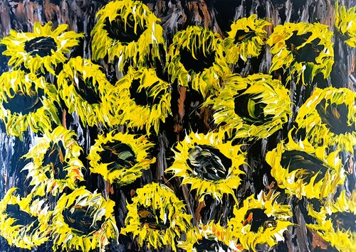 Sunflower field Daniel Urbaník