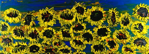 Blooming sunflowers 2 Daniel Urbaník