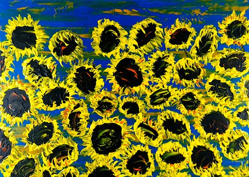 Blooming sunflowers 6 Daniel Urbaník