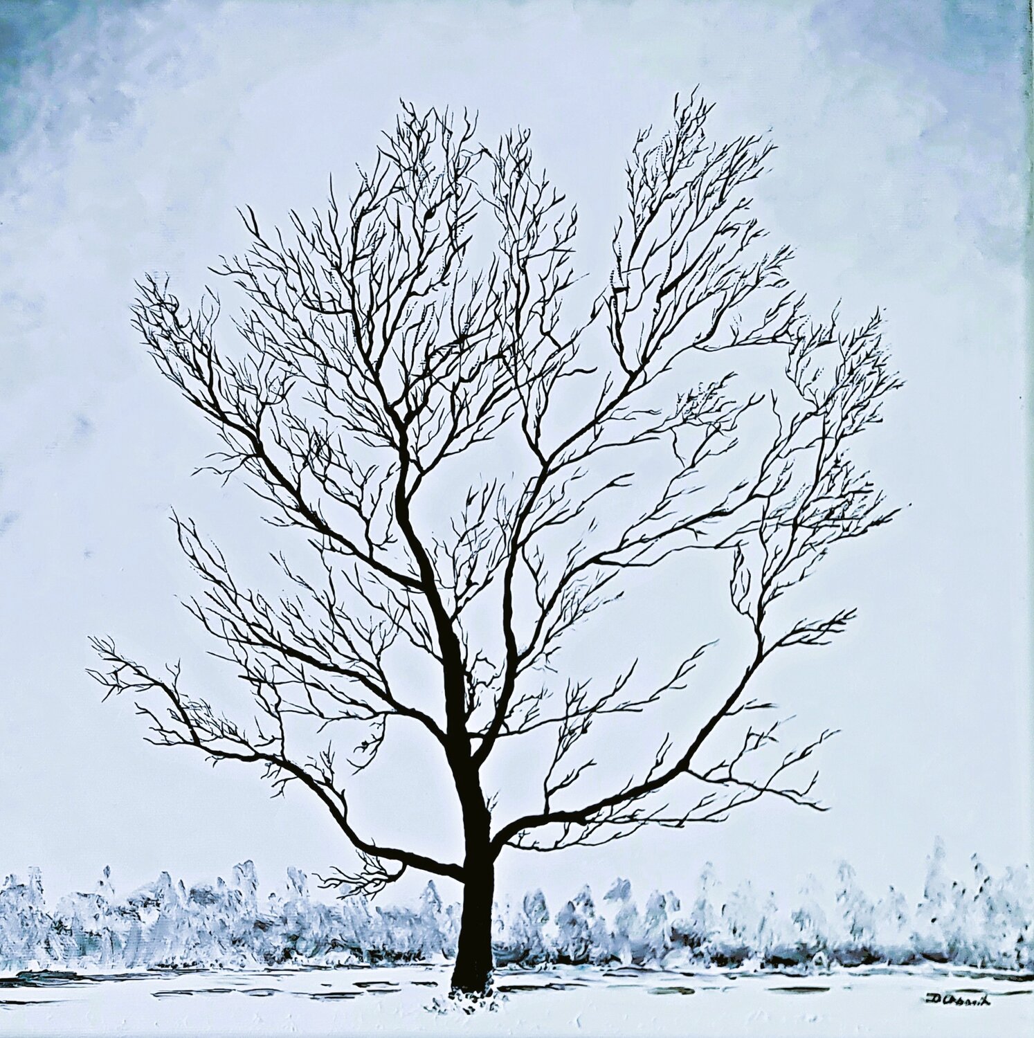 Snow landscape Daniel Urbaník