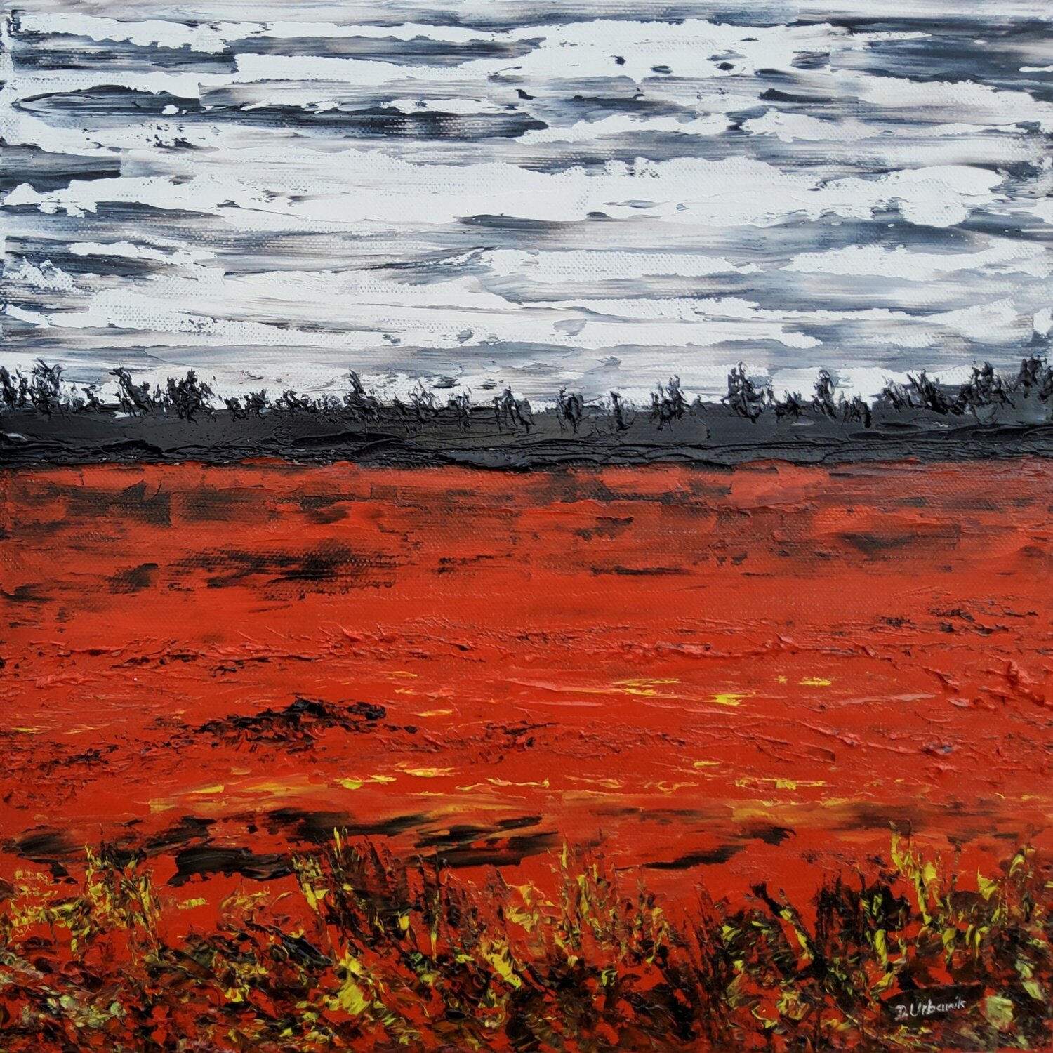 Meadow after rain 1 Daniel Urbaník