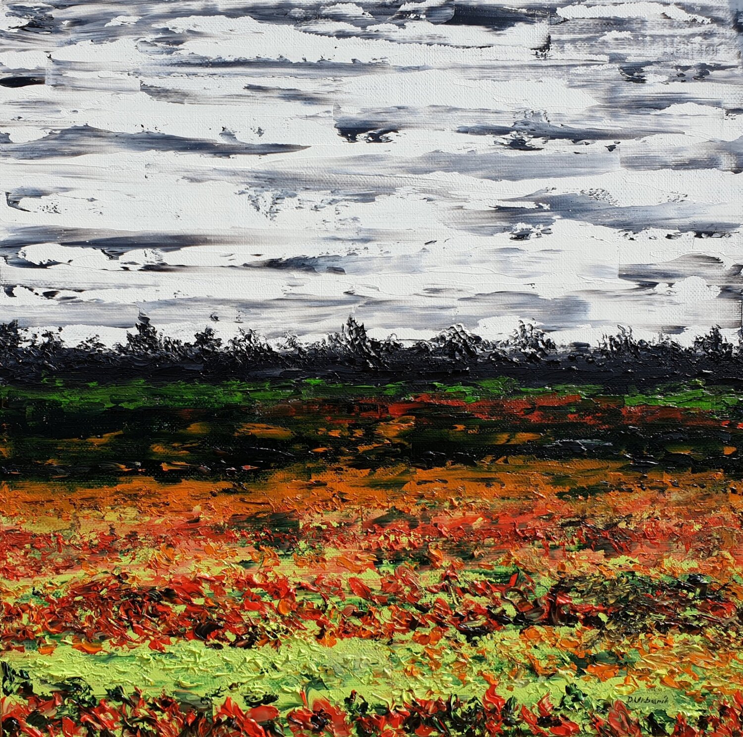 Meadow after rain 2 Daniel Urbaník