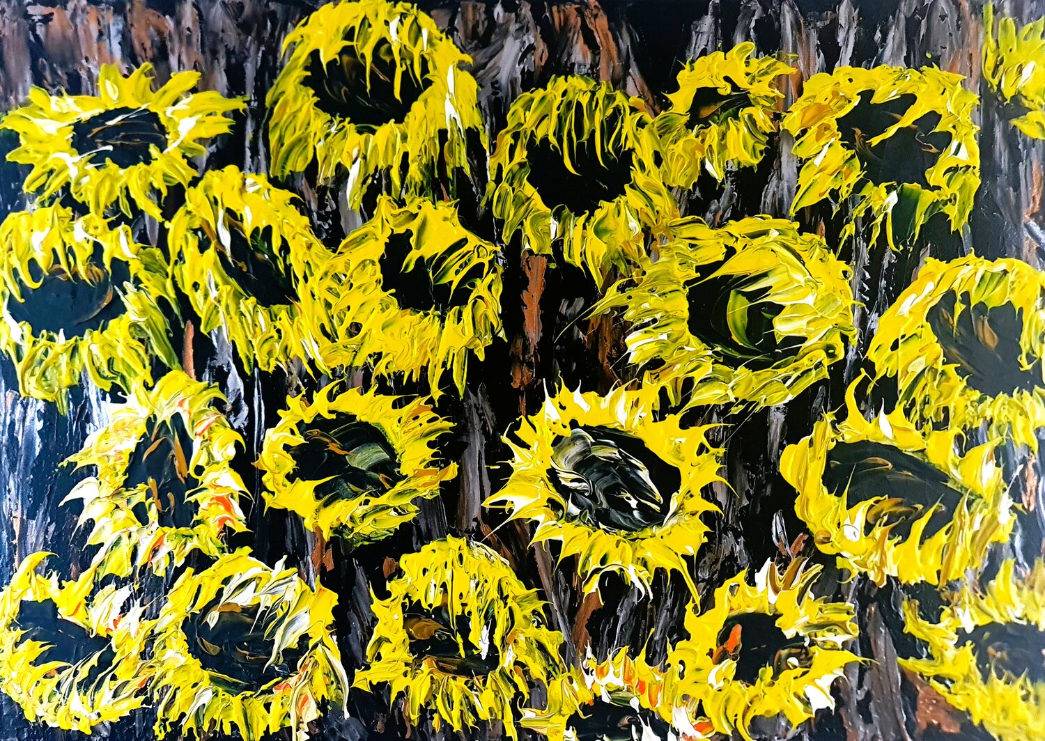 Sunflower field Daniel Urbaník
