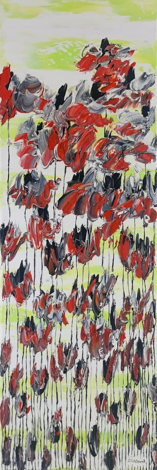 Poppy flowers 1 Daniel Urbaník