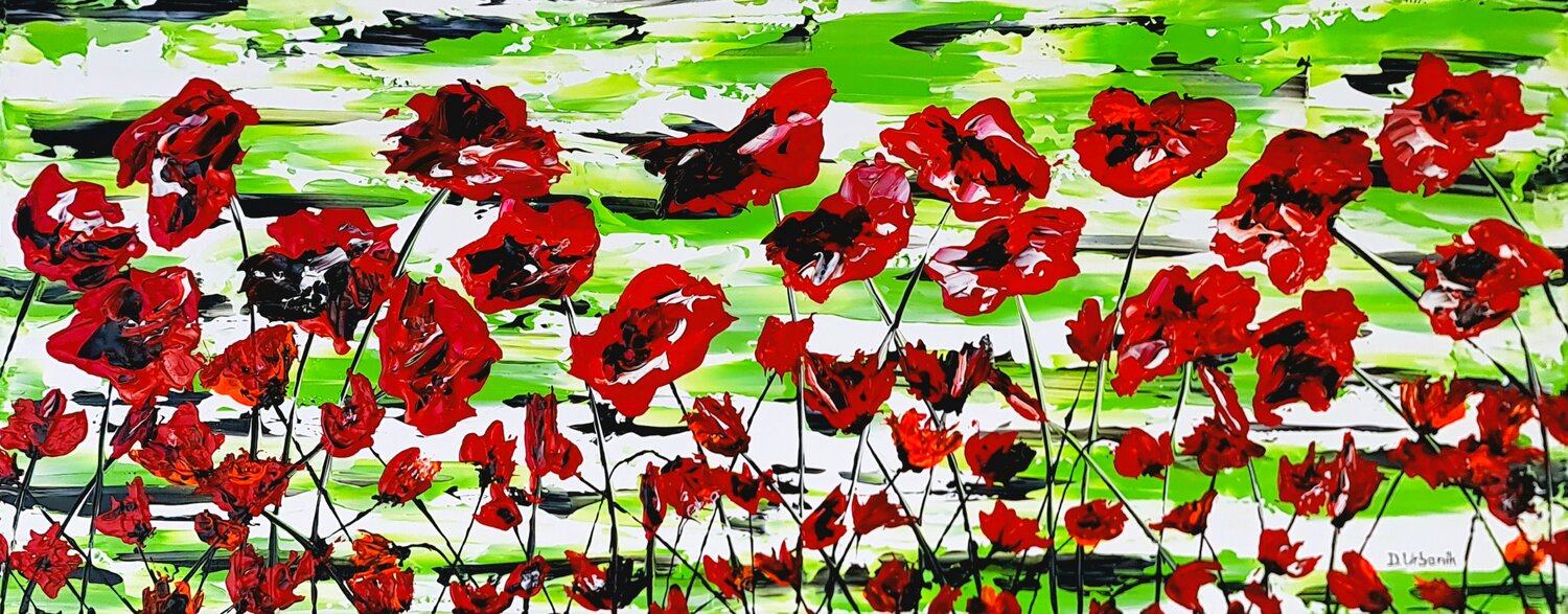 Red poppies Daniel Urbaník