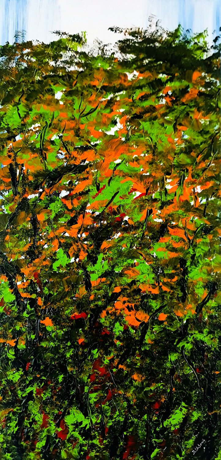 In the forest Daniel Urbaník