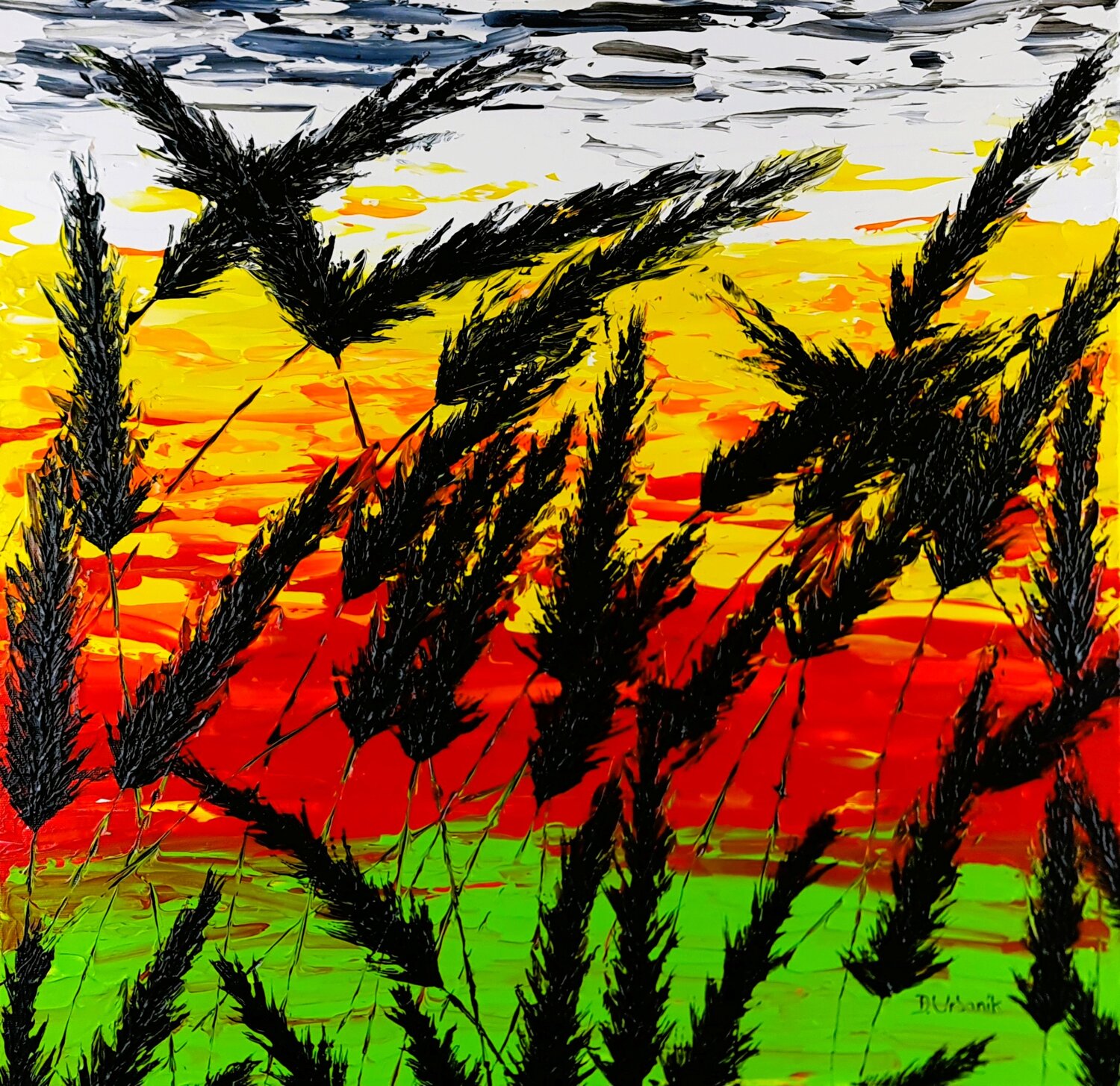 Sunset In The Grass 1 Daniel Urbaník