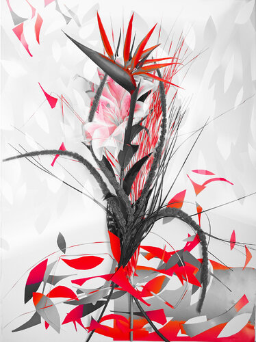 Paradiesvogel-Blume von Ebru Eruelkue, Fotografie kaufen auf Singulart