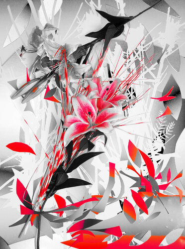 Lilie de Ebru Eruelkue, Fotografía a la venta en Singulart