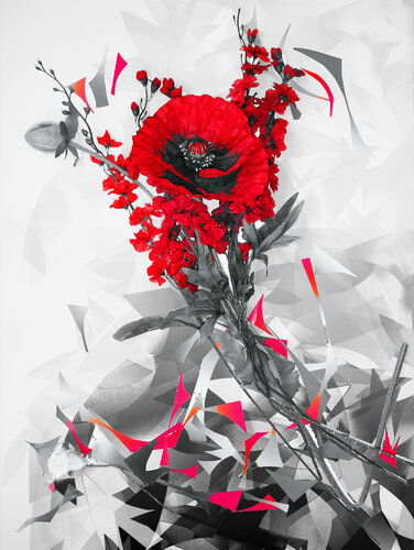 Mohnblume de Ebru Eruelkue, Fotografía a la venta en Singulart