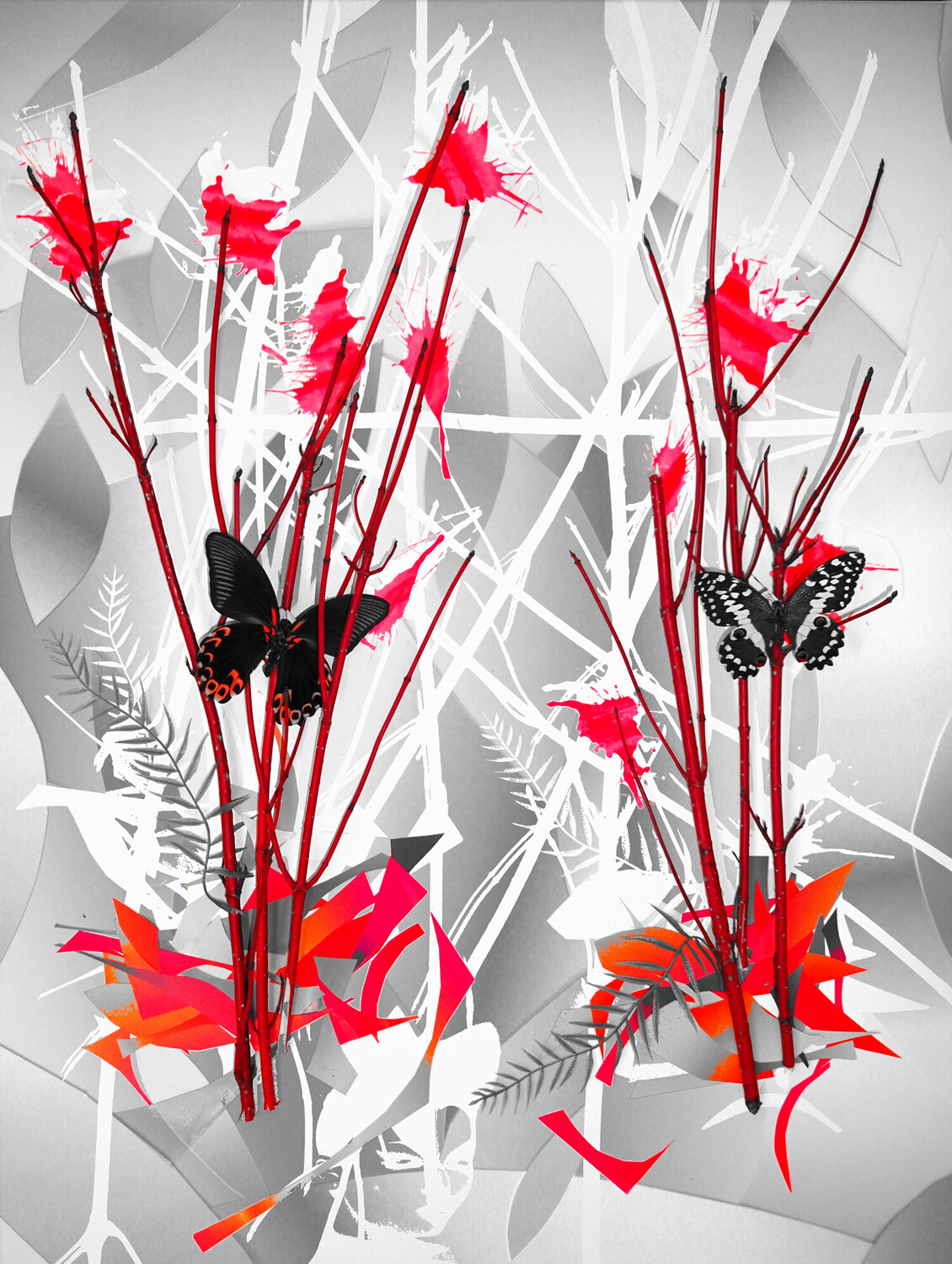 Strauch Ebru Eruelkue