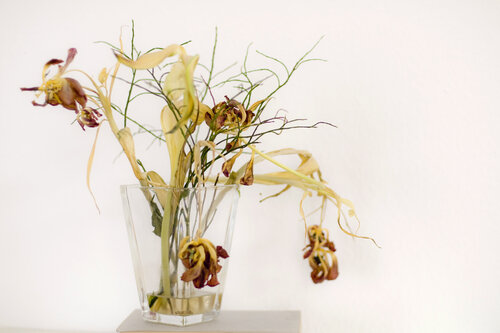 Belichtungsmesser 21 Blumen von Stanislaus Müller-Härlin, Fotografie kaufen auf Singulart