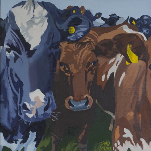Cows II von Jo Willis, Druck kaufen auf Singulart