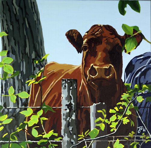 Cows V - what are you looking at? von Jo Willis, Druck kaufen auf Singulart