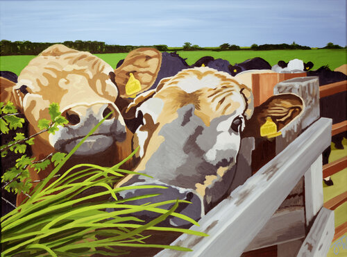 Cows VI - feeding time von Jo Willis, Druck kaufen auf Singulart
