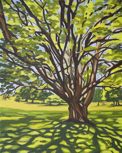 Light and shade de Jo Willis, Pintura a la venta en Singulart