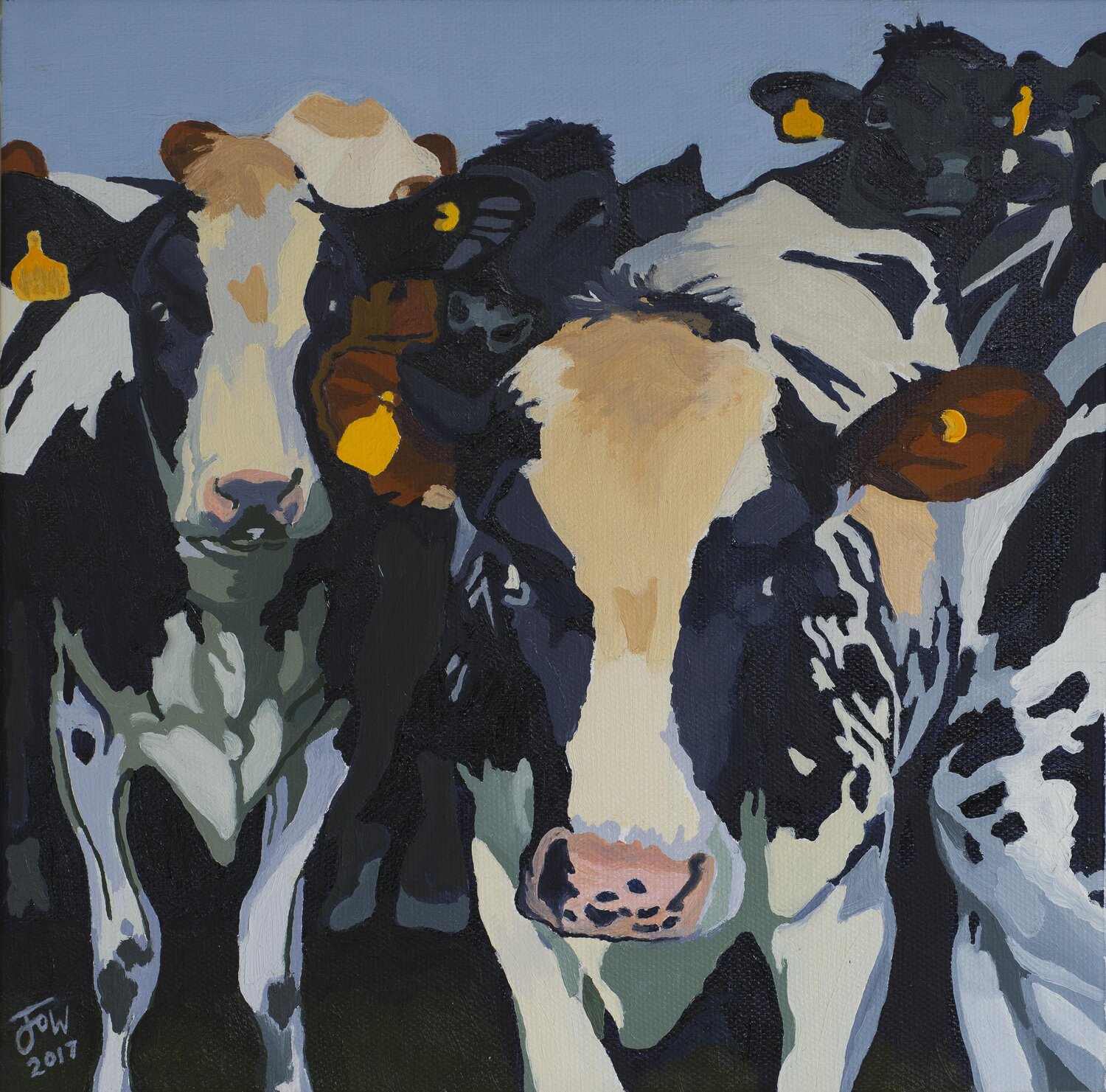 Cows Jo Willis