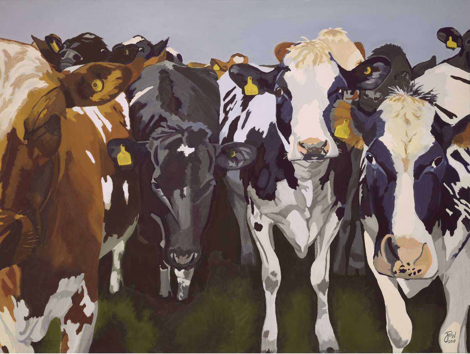 Cows III Jo Willis